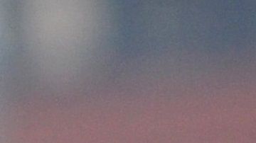 El uso de cubrebocas en un perro no tiene utilidad alguna.