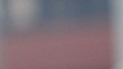 El uso de cubrebocas en un perro no tiene utilidad alguna.