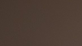 El xoloitzcuintle es un can silencioso, tranquilo, alegre, inteligente, siempre alerta y un guardián que no es agresivo.