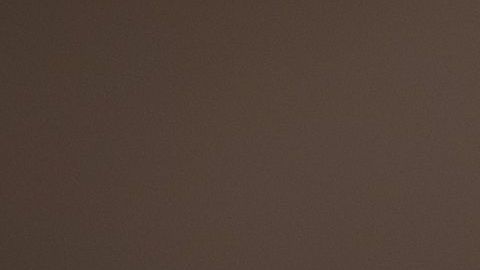 El xoloitzcuintle es un can silencioso, tranquilo, alegre, inteligente, siempre alerta y un guardián que no es agresivo.