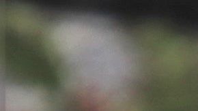 Amo usa dron para pasear a su perro por miedo al coronavirus.