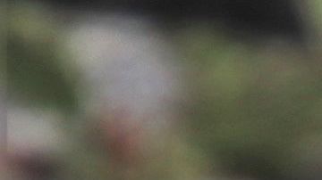 Amo usa dron para pasear a su perro por miedo al coronavirus.