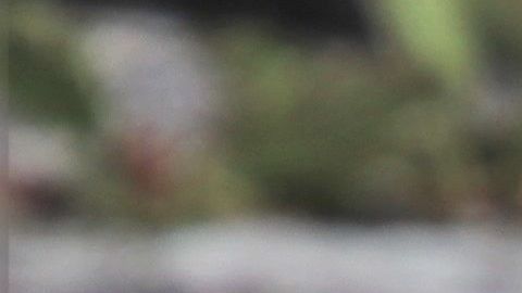 Amo usa dron para pasear a su perro por miedo al coronavirus.