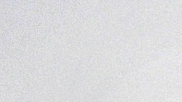 Foto:  Ben Stansall/AFP vía Getty Images. Ser paseador de perros es una otra alternativa para estar cerca de ellos.