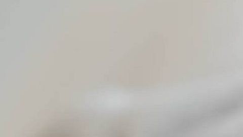 Algunas razas de perro toleran mejor la soledad que otras.