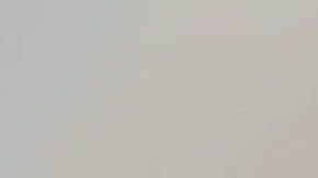 Algunas razas de perro toleran mejor la soledad que otras.