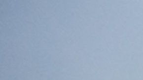 Shiro cuida a los animales a los que su ama definitiva da refugio