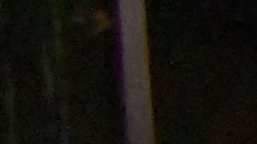 Ama le juega una broma musical a su perro.