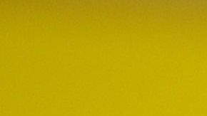 Un cachorro requerirá ir frecuentemente al veterinario por sus vacunas.