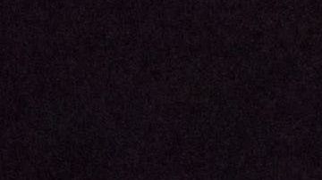 Los perros ancianos tienen menor actividad física.