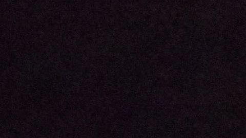 Los perros ancianos tienen menor actividad física.