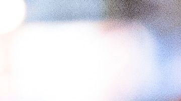 Los perros de los refugios en Nueva York están escaseando por la adopción masiva.