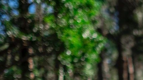 Algunos gobiernos permiten que la gente salga a despejarse.