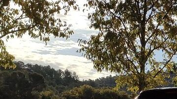 peugeot-4803537_1280