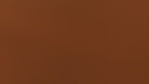 Conoce un poco más sobre el apasionante mundo del café.