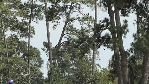 El primero de los cuatro grandes torneos de golf de la temporada queda pospuesto hasta una fecha en la que se pueda hacer.