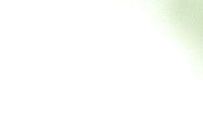 Poderes mágicos del ajo.