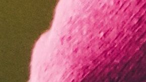 ¿No tienes pesas? No importa, tu perro está ahí para ayudarte a entrenar.