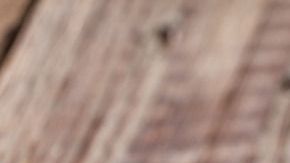 plátanos-istetiana-Canva