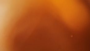 pollo agridulce-resnick_joshua-C