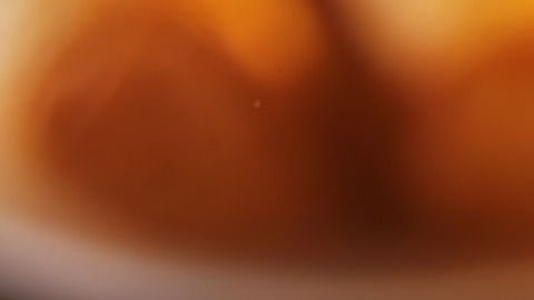 pollo agridulce-resnick_joshua-C