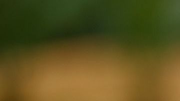 El nombre que le des a tu hijo será parte de su personalidad.