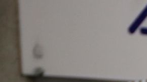 El artillero debutó con gol en su primer partido con el Sporting de Kansas City.