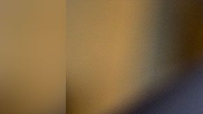 La promoción será válida hasta el 15 de marzo.