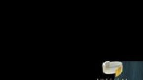 Así se aprecian los pulmones en el video.