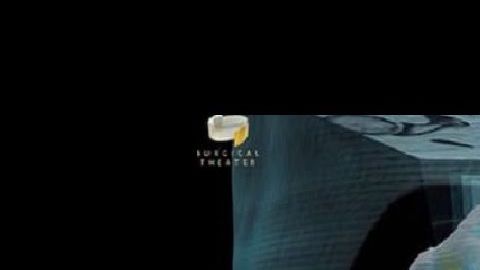 Así se aprecian los pulmones en el video.