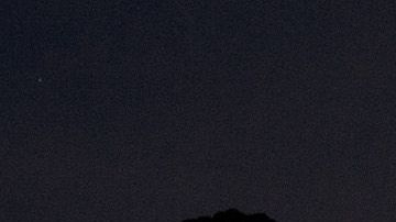 P-22 fotografiado frente al famoso letrero de Hollywood. Foto: Steve Winter/National Geographic