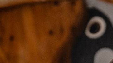 Quesos-carne-Daniel Friesenecker en Pixabay