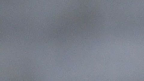 Alex Oxlade-Chamberlain con Perrie Edwards.