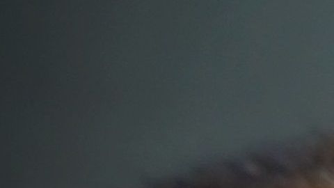 Las ratas pueden transmitir hantavirus.