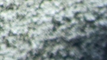 El incidente fue captado por los celulares de los estudiantes y algunos medios locales se hicieron eco de lo sucedido