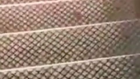 Rata en el metro con un muffin.