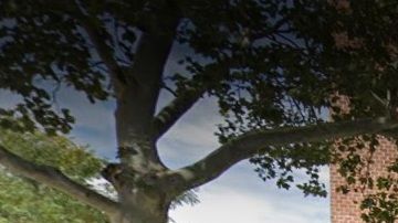 Regal Heights Rehabilitation, Jackson Heights