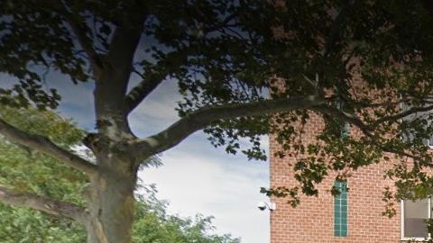 Regal Heights Rehabilitation, Jackson Heights