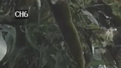 Captura de las cámaras de vigilancia en la que se ve a un hombre apuntando al ladrón con un arma.