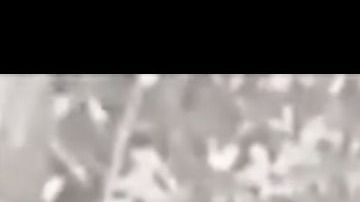 Imagen de la cámara de seguridad del restaurante donde aparece el ladrón cargando el material de higiene y limpieza.