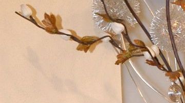 Rocío Sánchez Azuara