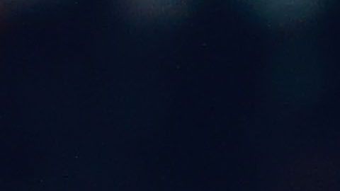 La afición de Pumas se cansó de los errores del 'Pollo' Saldívar.