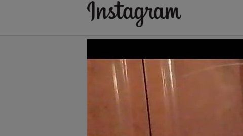 Los gatos son los auténticos reyes de internet.