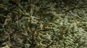 145 Huguenot St, New Rochelle