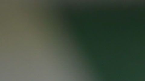 La selección Sub 16 tendrá una convocatoria corta bajo el mando de Alberto Rodríguez.