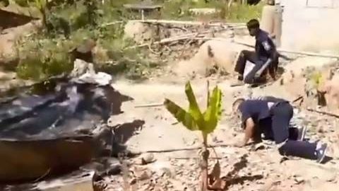 El residente vio la serpiente primero por el fregadero.