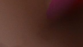 Shiro se hizo famoso por sus fotos dormido.