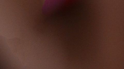 Shiro se hizo famoso por sus fotos dormido.