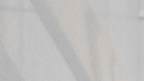 shutterstock_1015406521