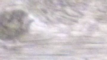 shutterstock_1026331465